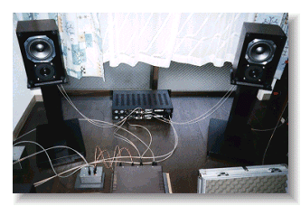 Main System
